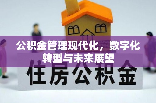 安岳公积金管理现代化，数字化转型与未来展望
